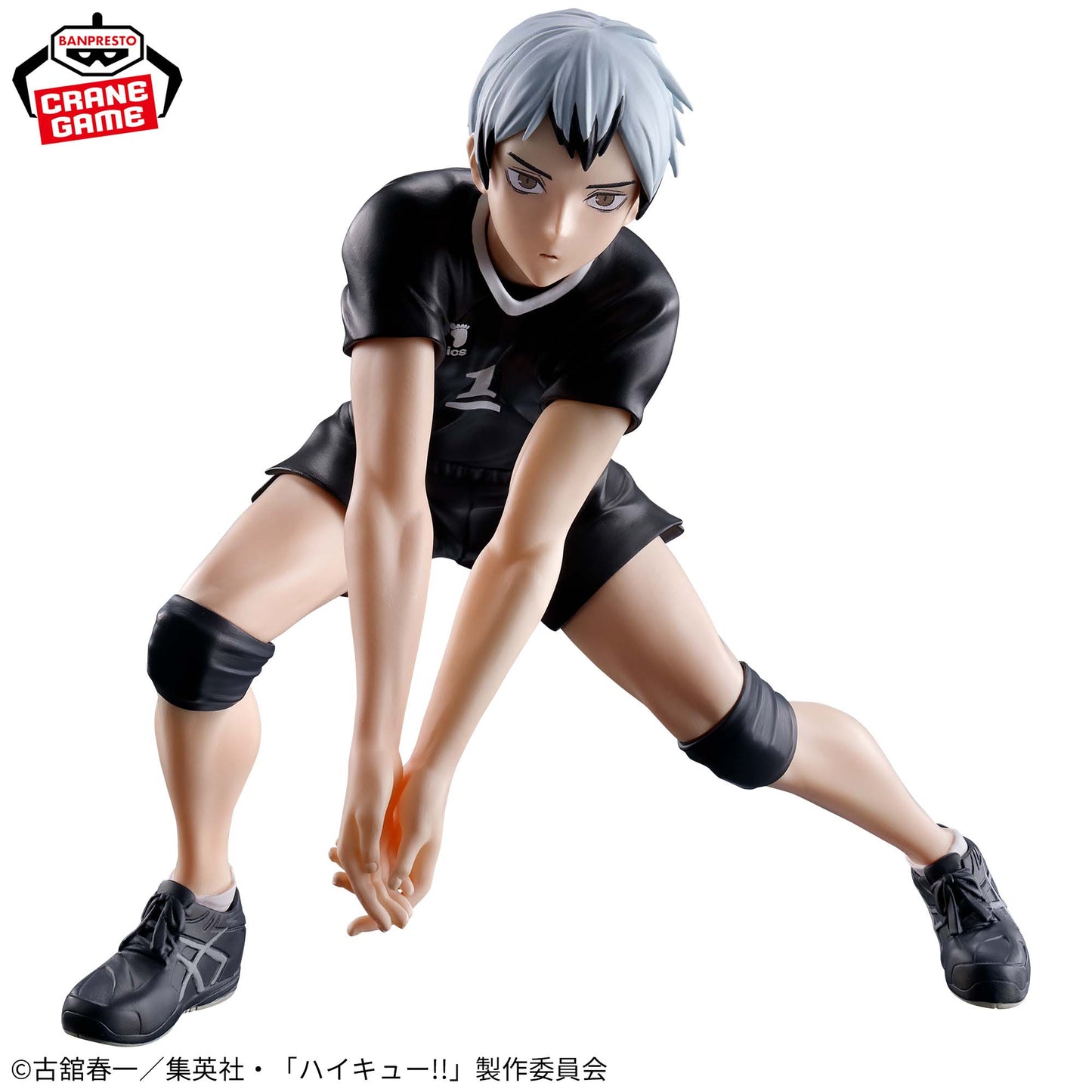Haikyu!! - Kita Shinsuke - Nuevo OB