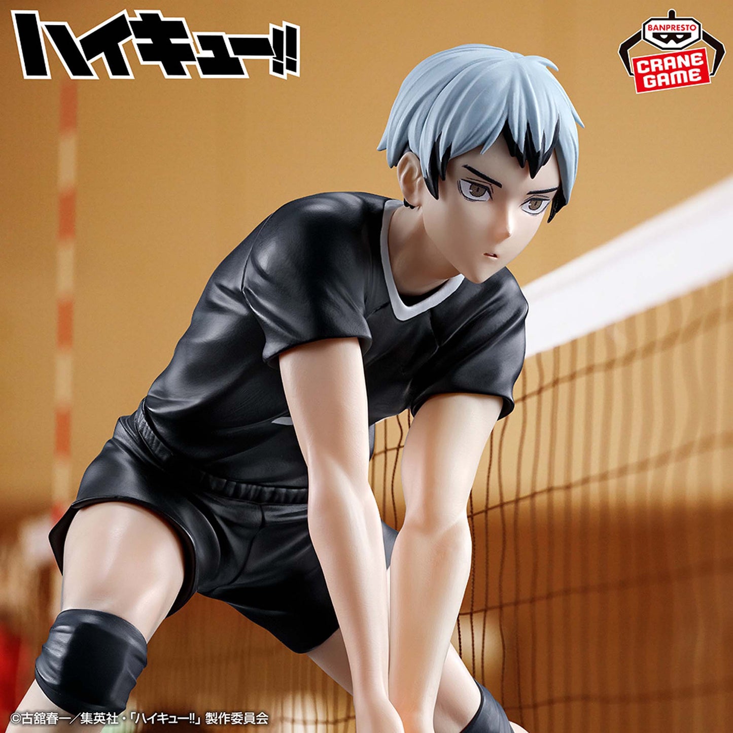 Haikyu!! - Kita Shinsuke - Nuevo OB
