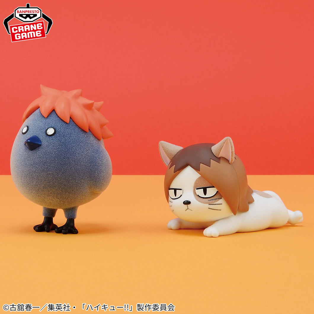 Haikyu!! - Hinagarasu (Fluffy Puffy) - Nuevo OB