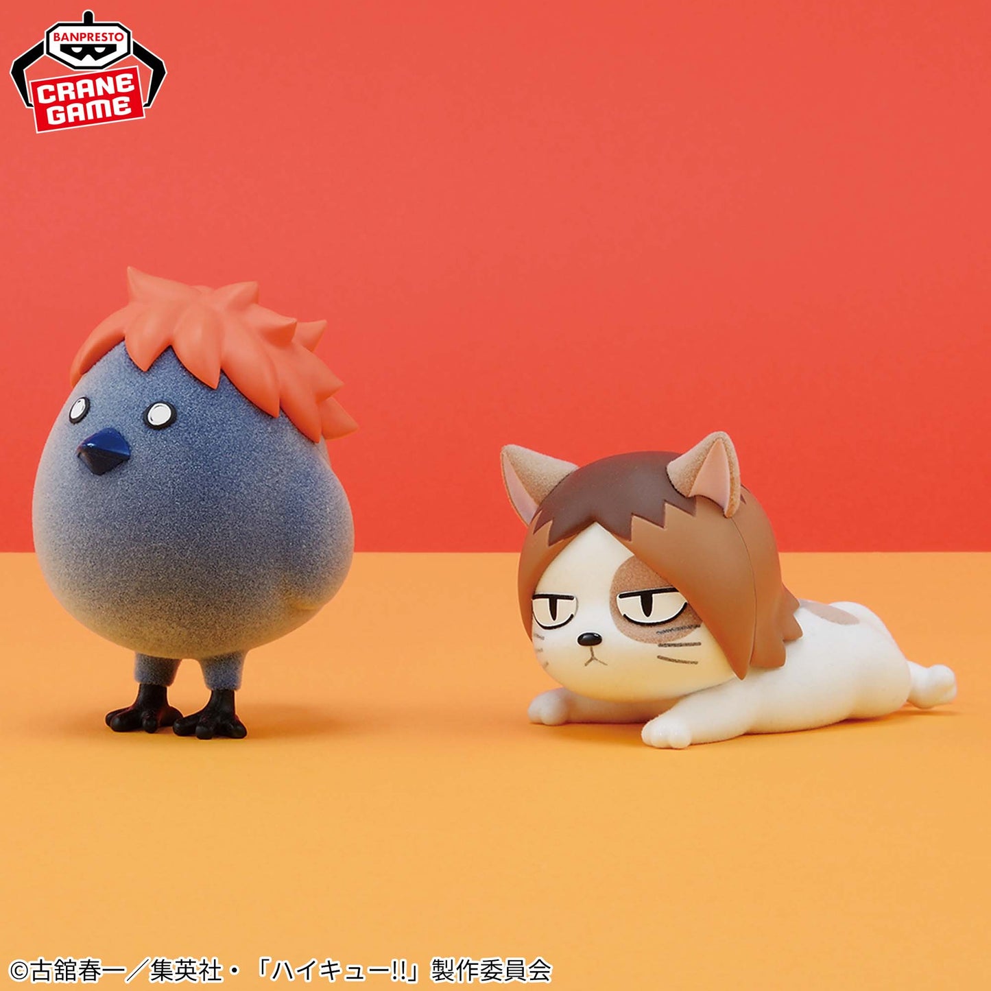 Haikyu!! - Kenmaneko (Fluffy Puffy) - Nuevo OB